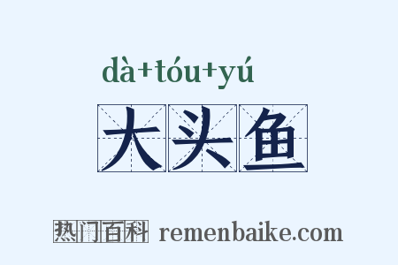 大头鱼是什么意思的图片